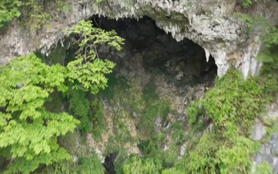 hidden forest inside a sinkhole in China