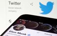 Elon Musk officially launches $8 service for Twitter blue tick