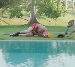 Logan Paul bitten on the testicles by dog during workout in video that has gone viral