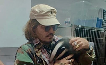 Johnny Depp pictured holding orphaned badger at rescue centre after defamation win