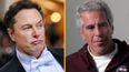Elon Musk says what everyone is thinking about Jeffrey Epstein’s mysterious client list