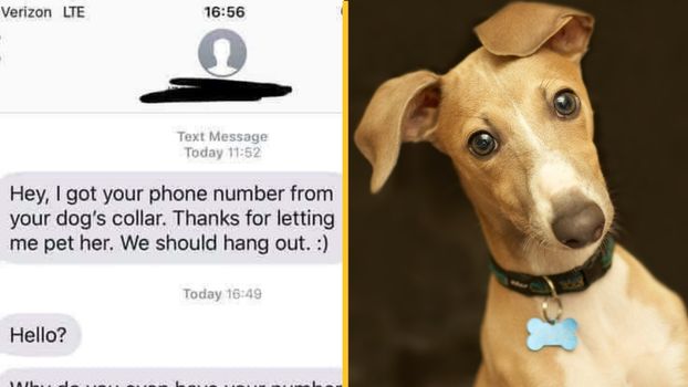 'Creepy' man gets woman's number from dog collar