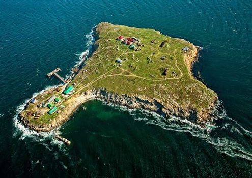Russia withdraws from snake island