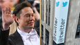 3,700 Twitter employees have been fired via email following Elon Musk’s takeover