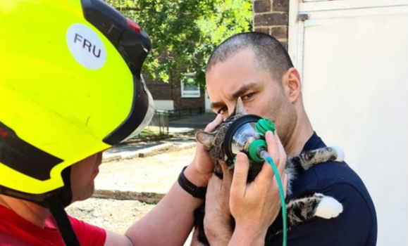 London Fire Brigade save cat's life with pet oxygen masks
