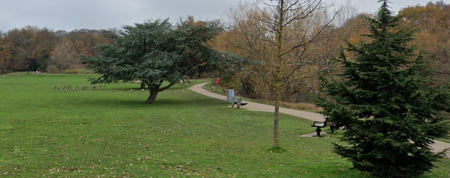 Boy, 13, arrested over string of sex attacks in a park on two women and a teenage girl