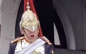 Queen’s Guard screams at tourist who touches his horse