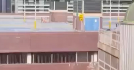 Naked couple filmed having rooftop sex during record heatwave