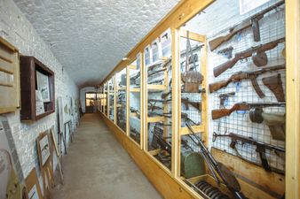 Military museum forced to ask couples to stop having sex behind exhibitions