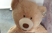 Police catch car thief after noticing giant teddy bear is breathing – and he’s hiding inside