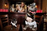 Party planners claim to have created the world’s first stag do… for dogs