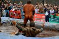 Thousands of revellers descend on pub garden as ‘world gravy wrestling championships’ return