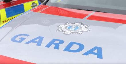 Two young children and a teenager dead following violent incident at Dublin home