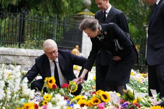 Piers Morgan applauds Princess Anne who ‘never gets enough credit for her selfless devotion’