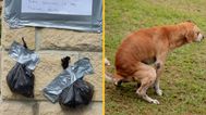 Angry neighbour tapes poo to wall in threat to owner who kept letting dog s**t in their garden