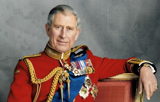LONDON, NOVEMBER 13: (NO PUBLICATION IN UK MEDIA FOR 28 DAYS) Prince Charles, Prince of Wales poses for an official portrait to mark his 60th birthday, photo taken on November 13, 2008 in London, England. (Photo by Hugo Burnand/Anwar Hussein Collection/WireImage)