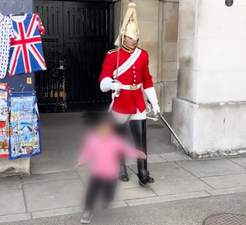 King’s Guard makes young girl flee in fear after shouting ‘stand clear’