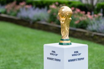 Qatar and Manchester City win ‘bad sport’ award for greenwashing