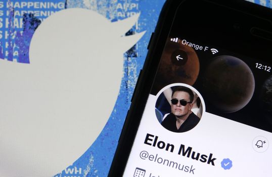 Elon Musk ban on parody accounts