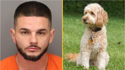 Man arrested for having sex with dog before trashing Nativity scene