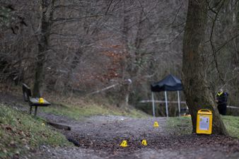 Dachshunds seized after woman mauled to death in horrific Surrey dog attack