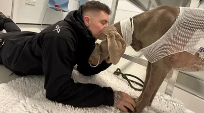 ‘I’d sell my house to keep her alive’: Man faces £20,000 vet bill to save dog’s life