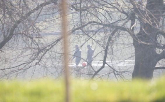 body parts found in Paris park