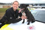 Retired police dog named as country’s top hero dog at Crufts