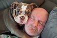 Bulldog pup ‘saves owner’s life’ by chewing his toe to the bone while he was asleep