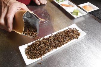 Students at £20k-a-year school vote to add insects to their school dinners