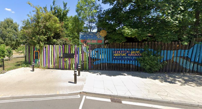 Severed cat head ‘carefully’ planted in children’s playground in ‘horrifying’ incident