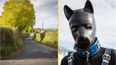 Notorious ‘gimp’ that has plagued villages has been arrested again for jumping out at people in latex