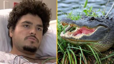 Man leaves bar because toilet line is too long – gets attacked by 10-foot alligator