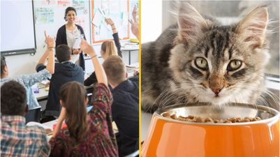 Teacher labels schoolgirl ‘despicable’ after she refuses to accept that someone can ‘identify as a cat’