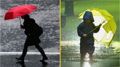 Some people are able to smell when rain is coming, according to science