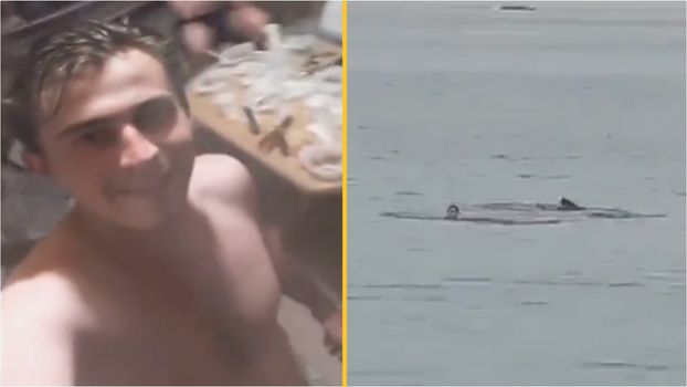 Man eaten alive by shark