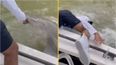 Warning issued after man dragged into water by shark in Florida