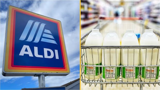 Aldi removing 'use-by' dates on milk bottles and telling shoppers to use 'sniff test'