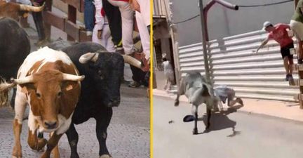 Man seriously injured after being gored during bull run in Spain