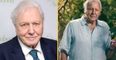 Sir David Attenborough to return with new TV series at 97 years old
