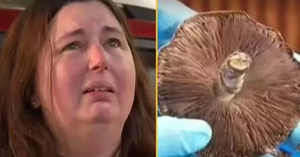 Woman who allegedly cooked poisonous mushroom lunch for family admits she lied to police