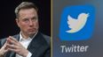Elon Musk wants everyone to pay for Twitter/X