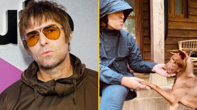 Liam Gallagher adopts stray dog from Thailand after application stuns sanctuary owner