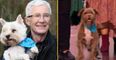 Paul O’Grady wins National Television Award six months after death