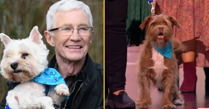 Paul O’Grady wins National Television Award six months after death