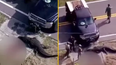 13-foot alligator caught carrying lifeless human body down canal in Florida