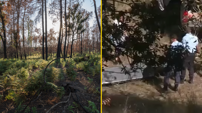 Brit stabbed to death in Portugal ‘while playing the Blue Whale game’