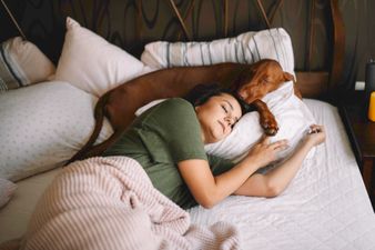 People who let their dogs sleep in their bed are happier, according to science