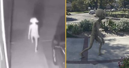 Ring is offering $1 million for the best alien footage with ‘unaltered scientific evidence’