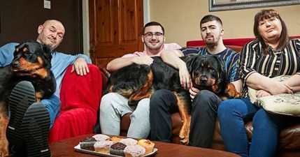 Gogglebox Malone family left heartbroken as fan favourite Dave dies